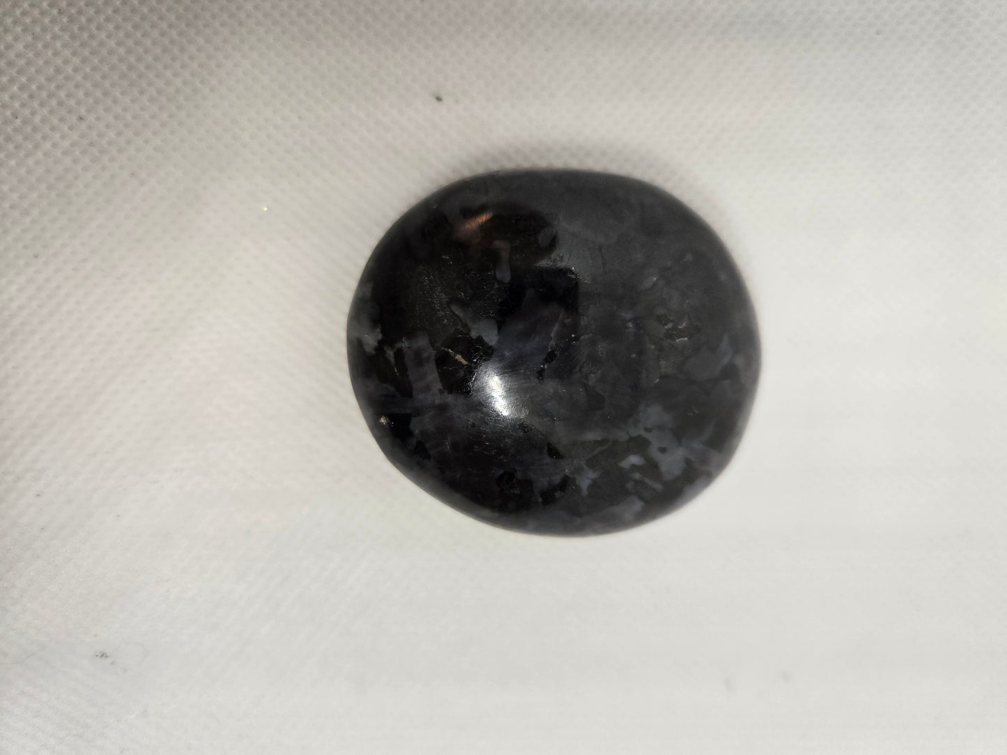 Pick Your Palm from the Garden