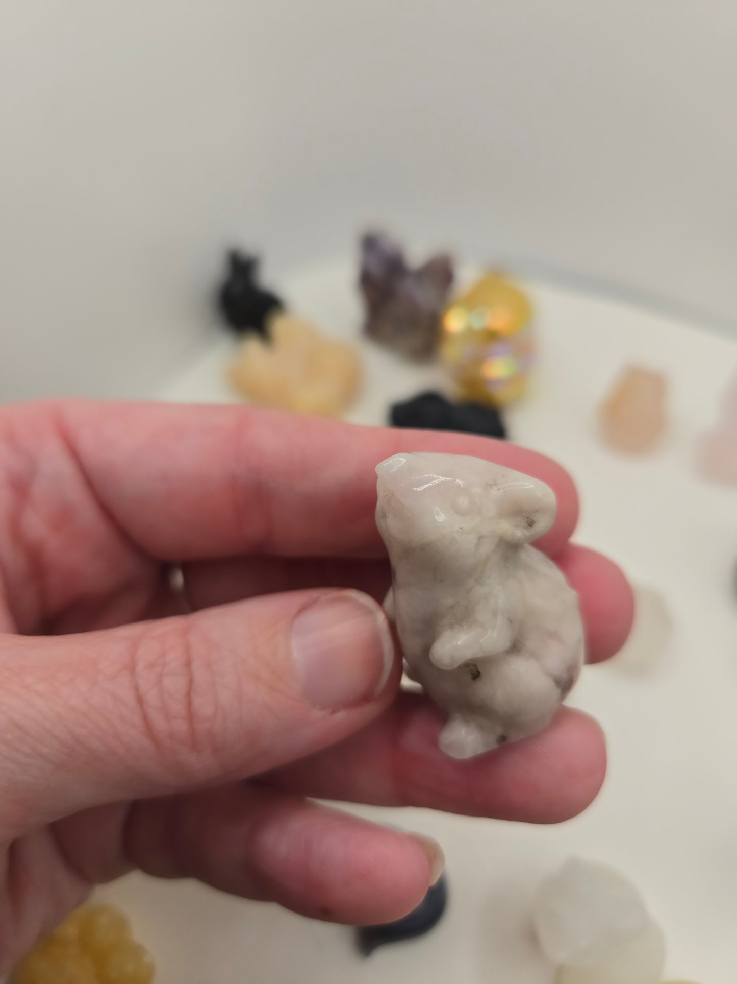 Small Creature Carvings