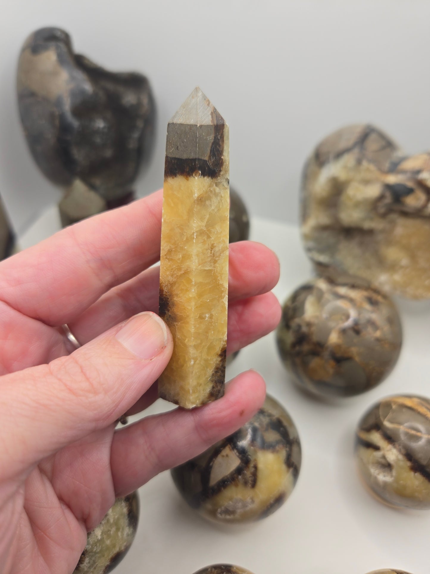 Septarian Collection