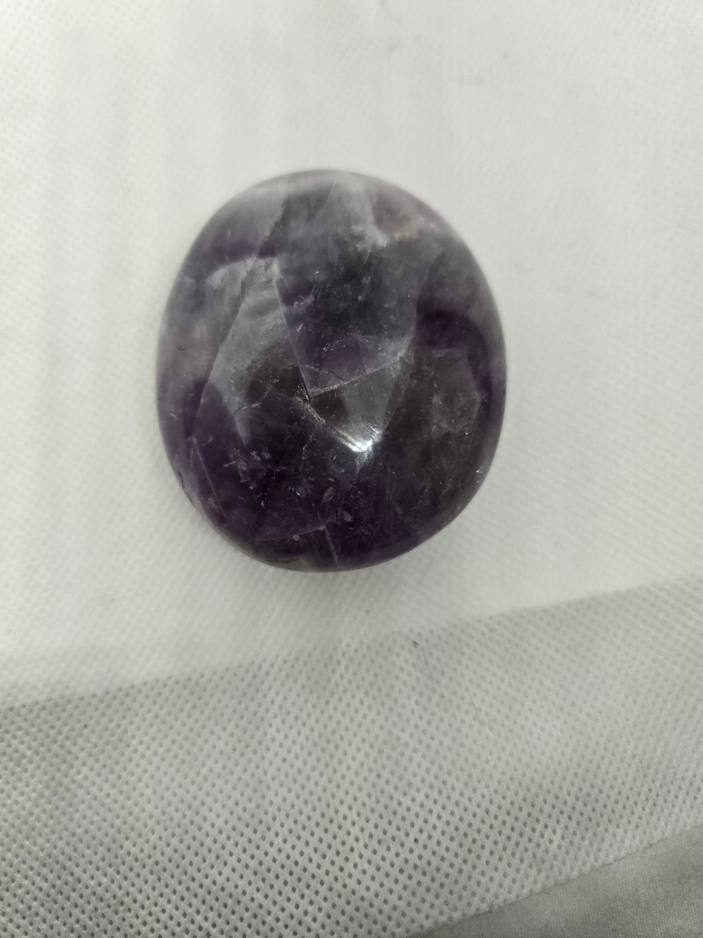 Pick Your Palm from the Garden