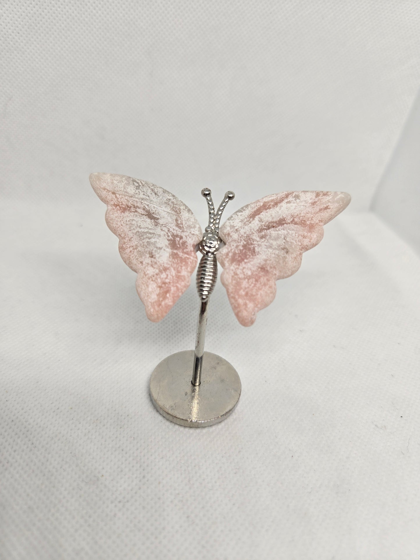 Butterflies and Dragon Fly