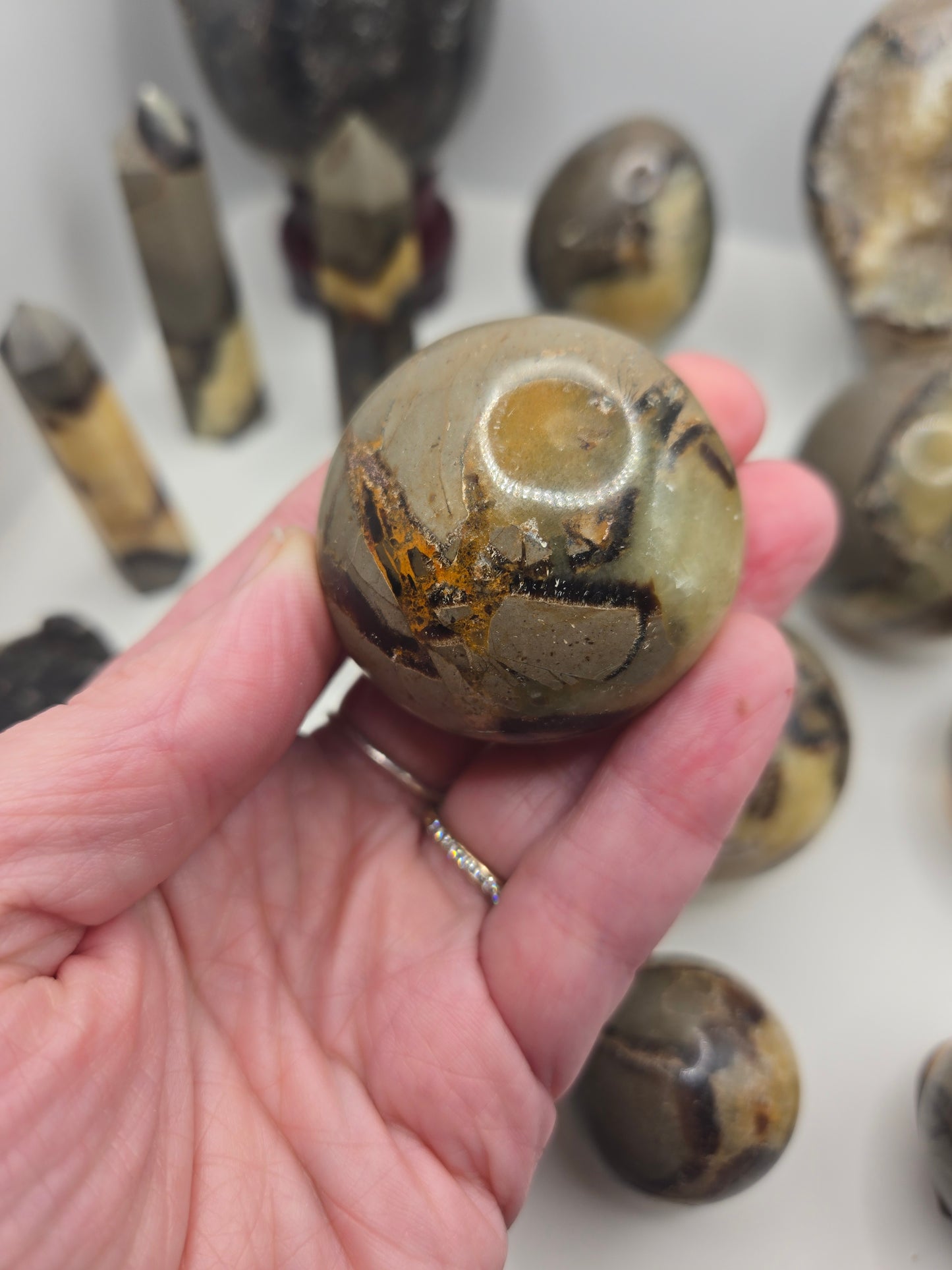 Septarian Collection