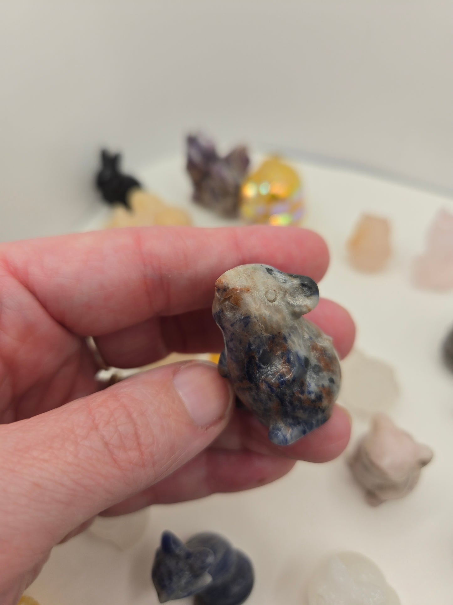 Small Creature Carvings