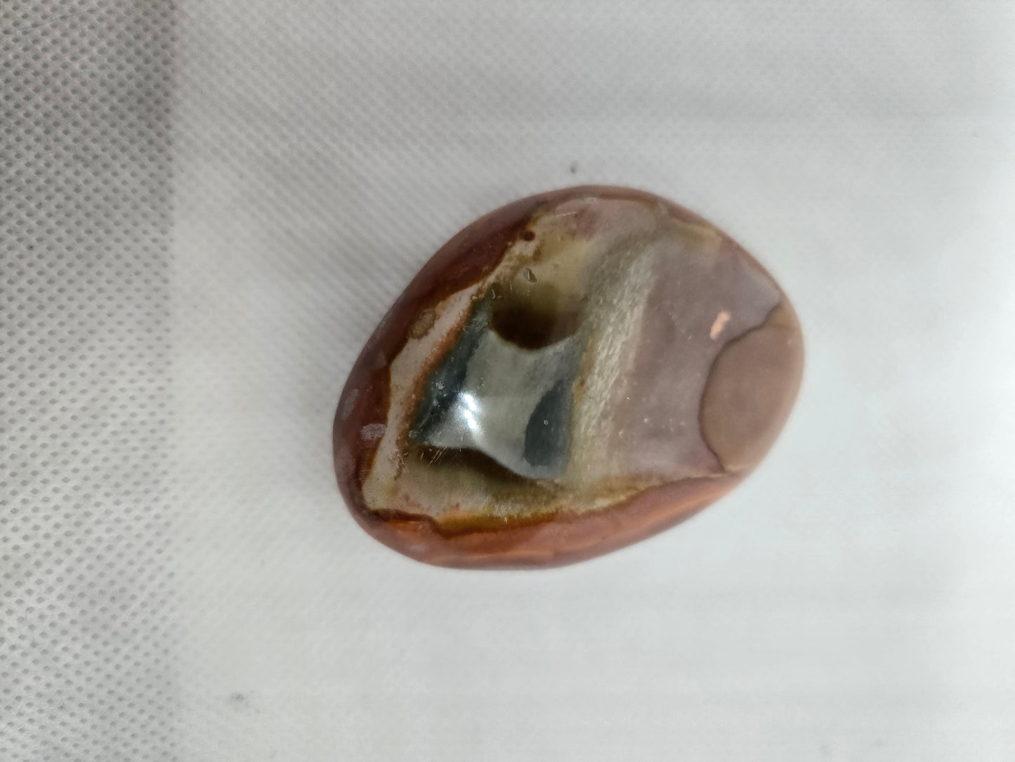 Pick Your Palm from the Garden