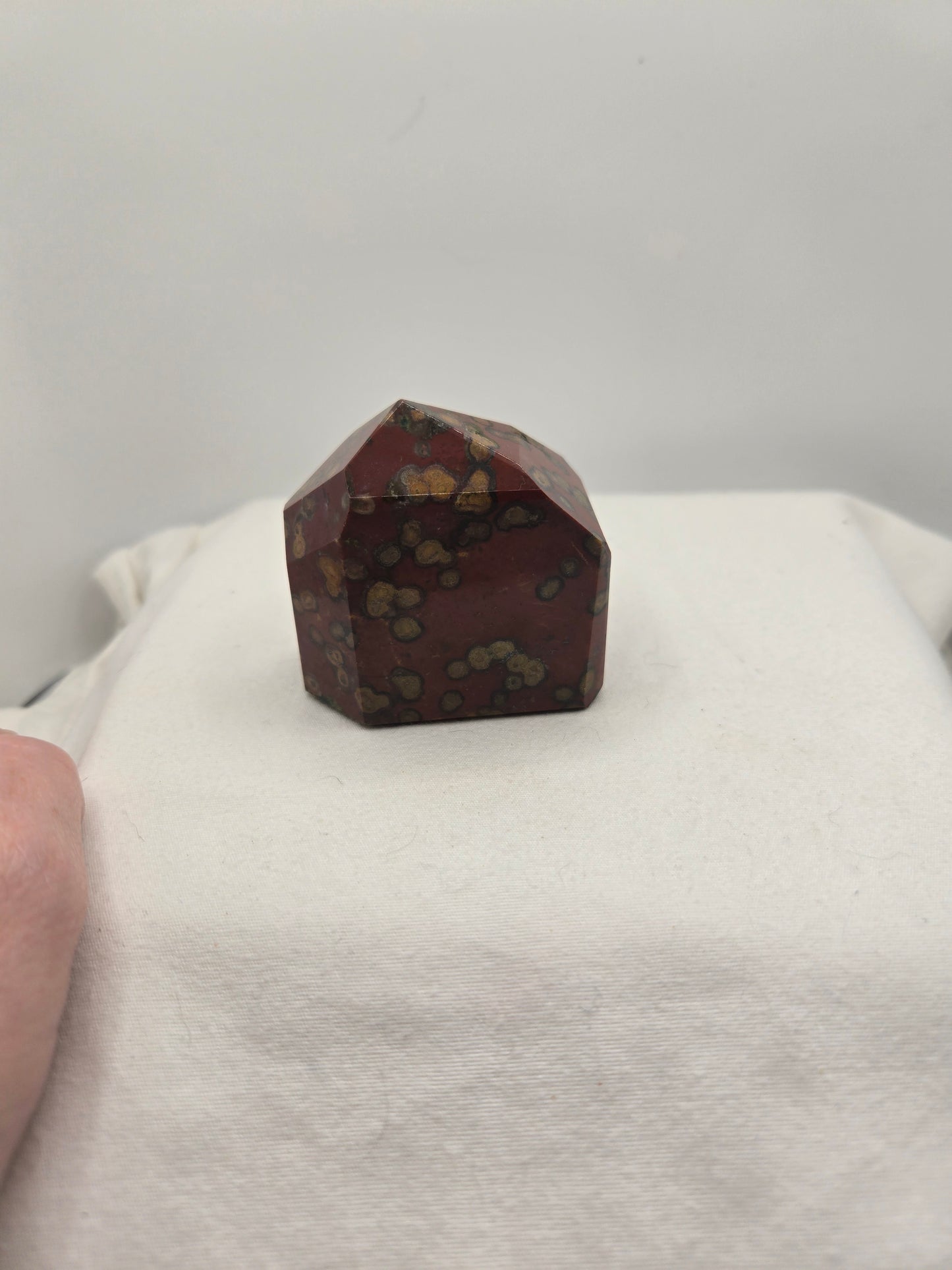 Orbicular Bloodstone Freeform