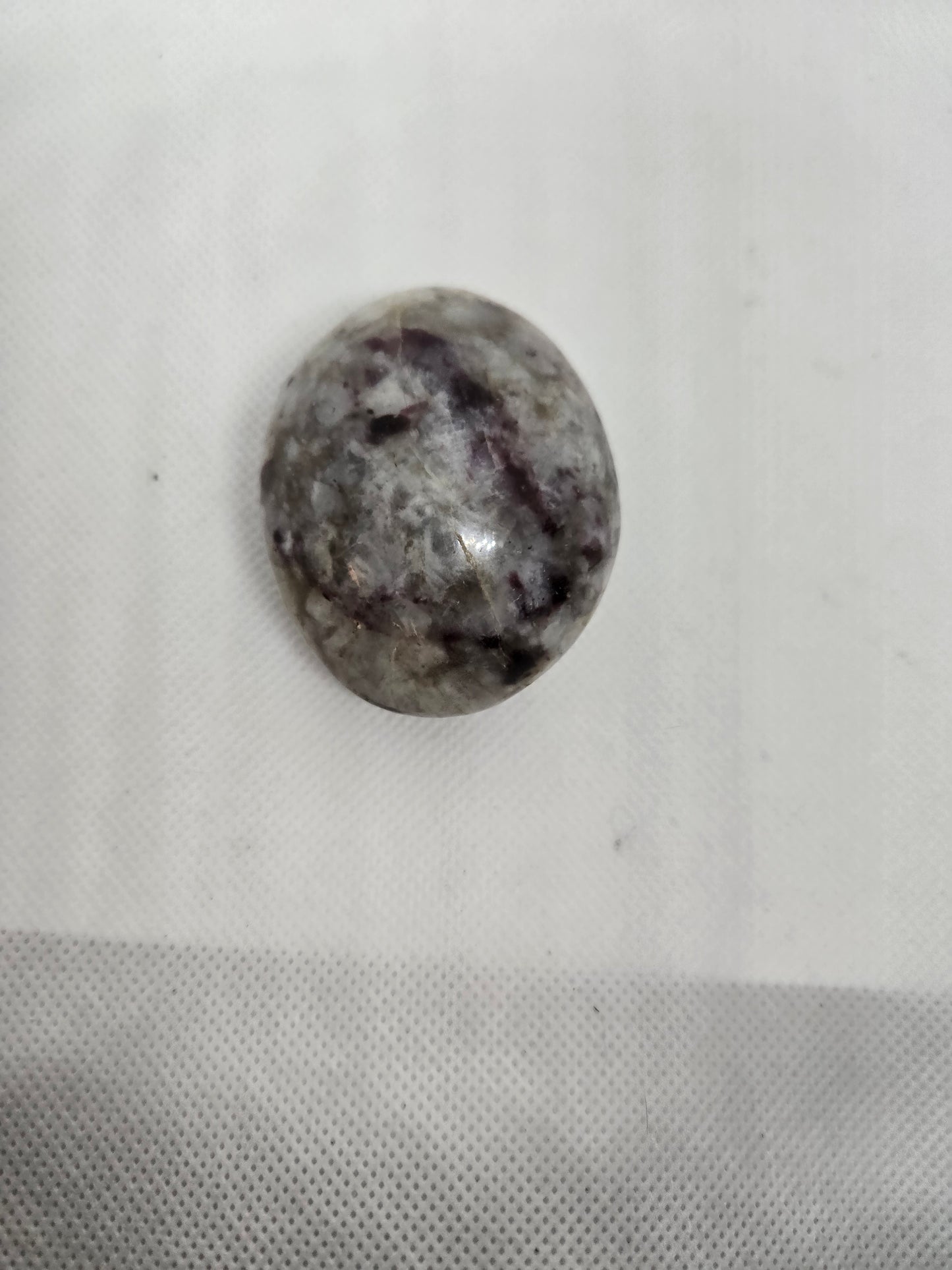 Pick Your Palm from the Garden