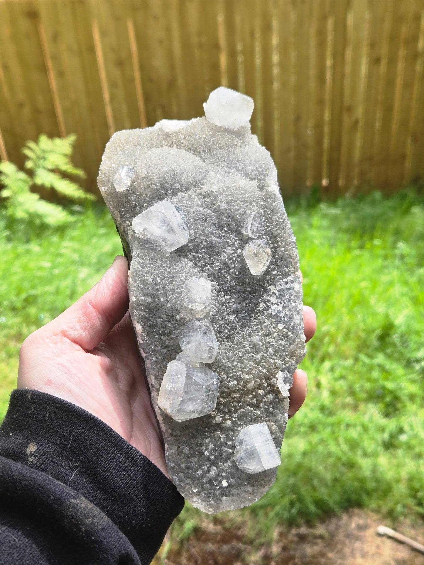 Apopholite Large