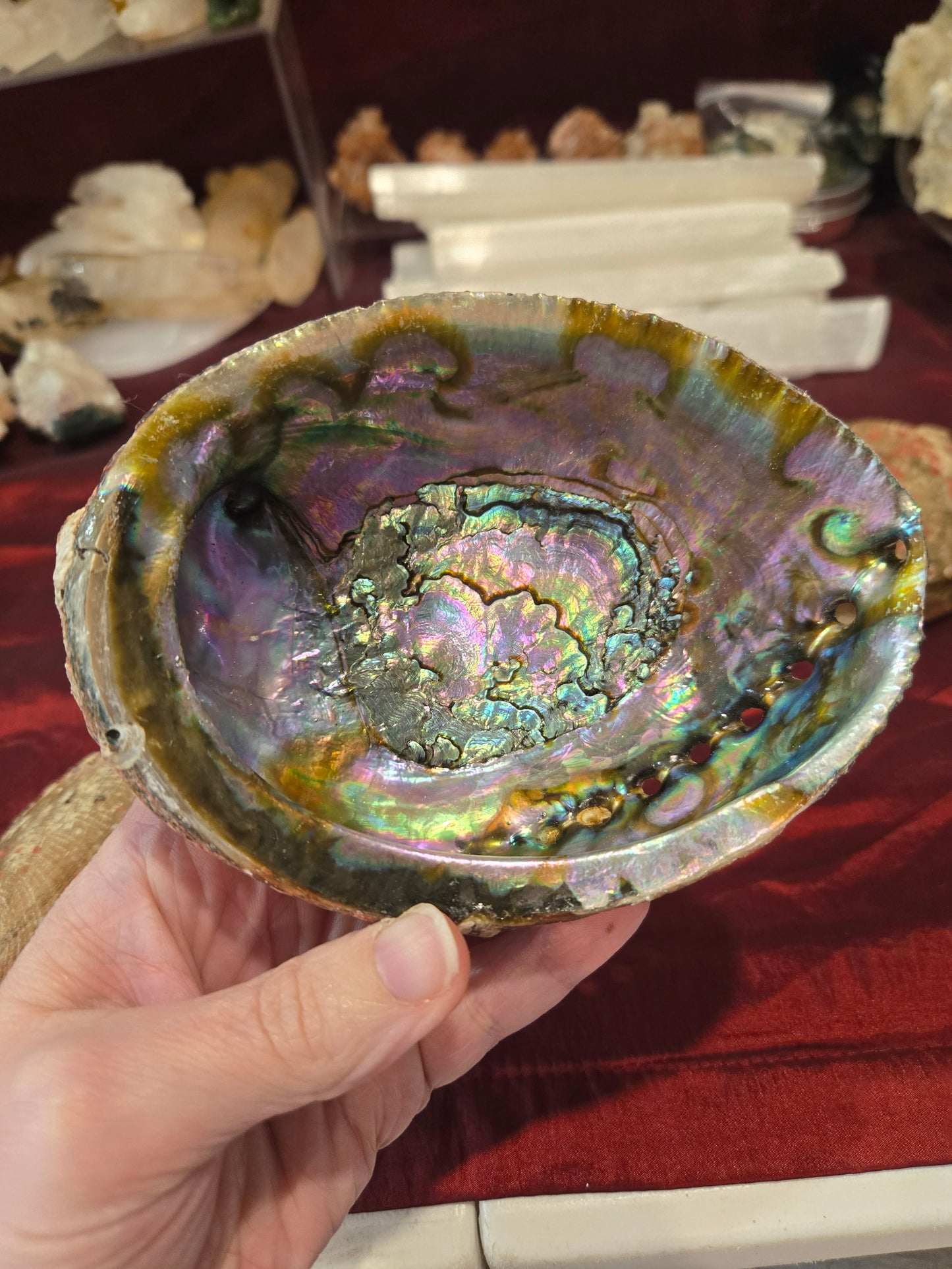 Abalone Shell Bowls