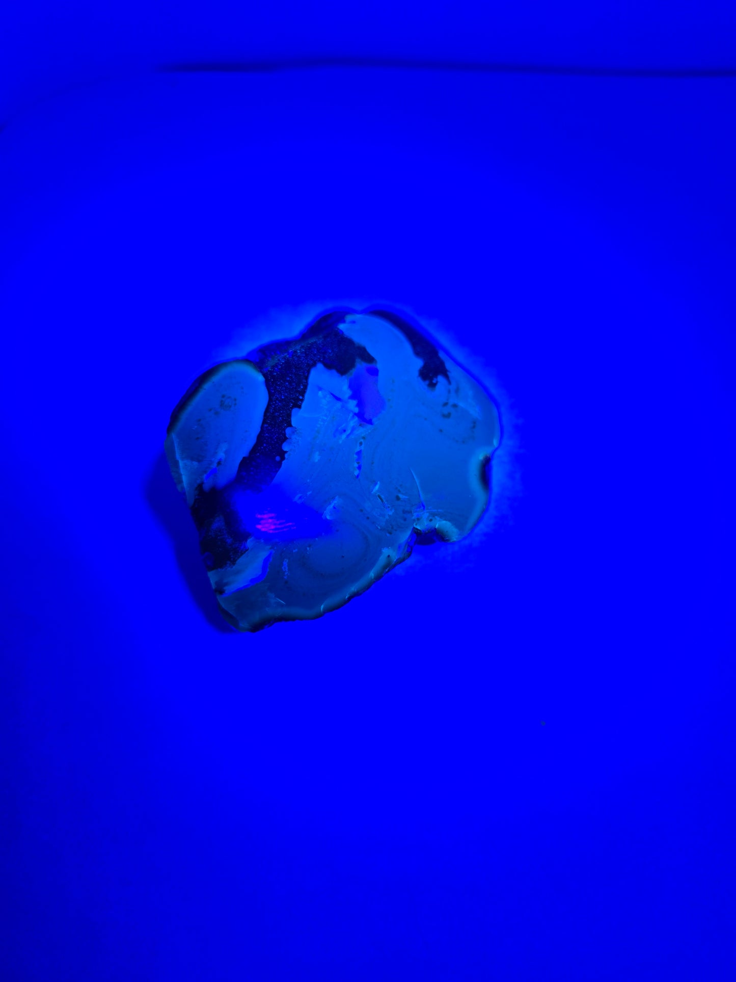 Large piece of raw Amber