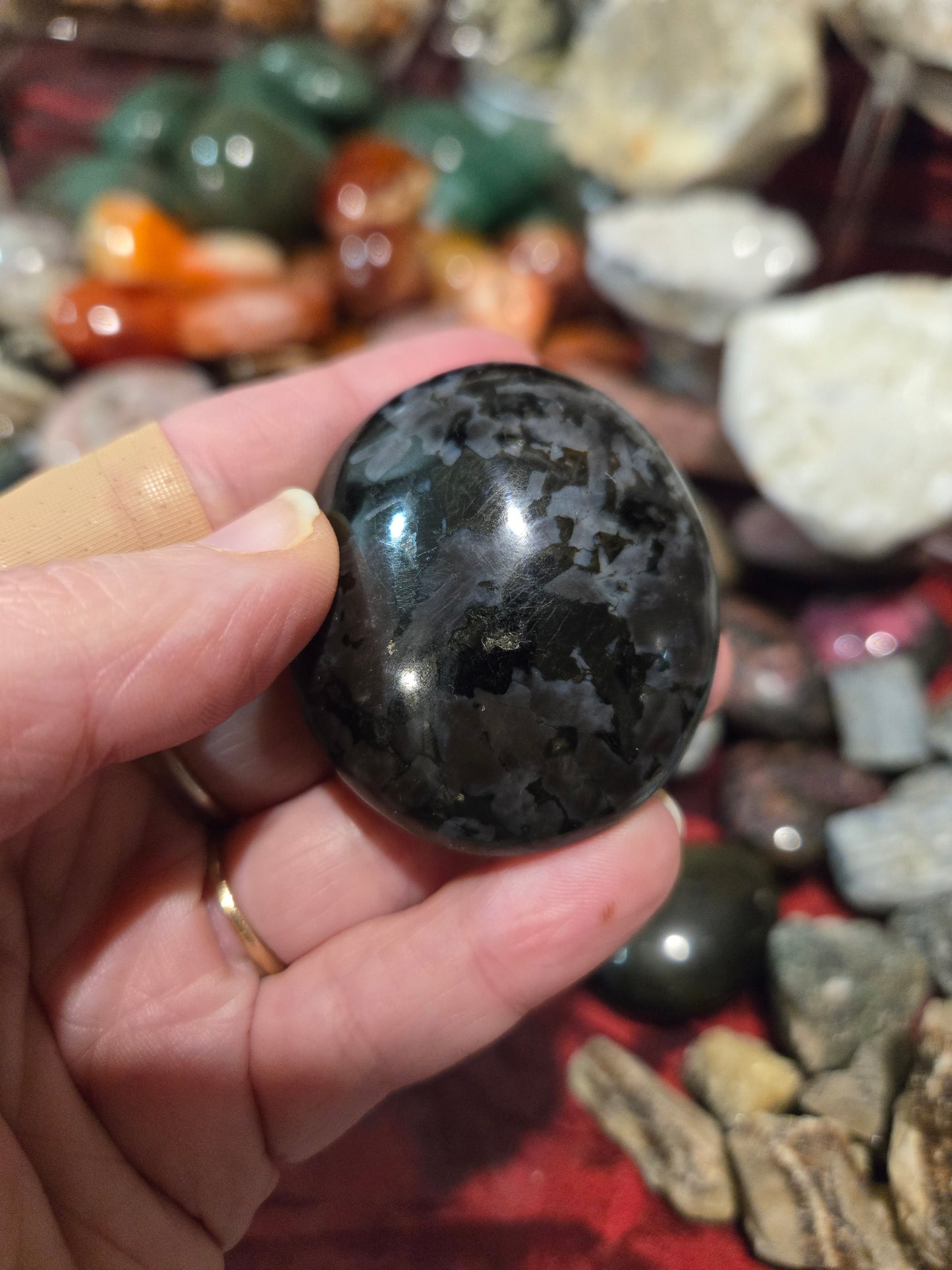 Indigo Gabbro