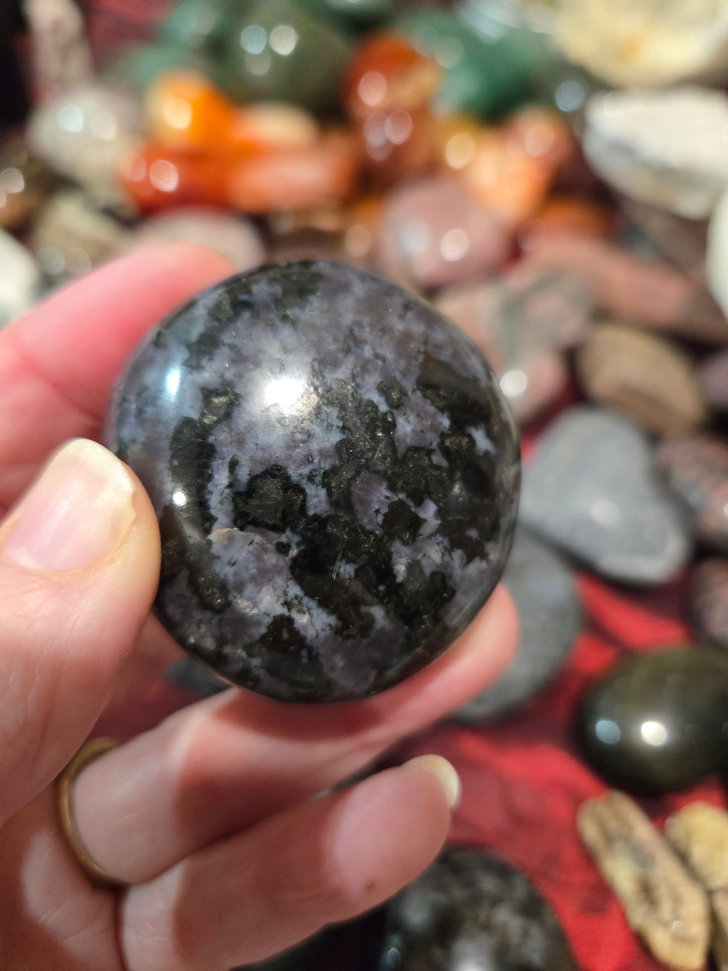 Indigo Gabbro