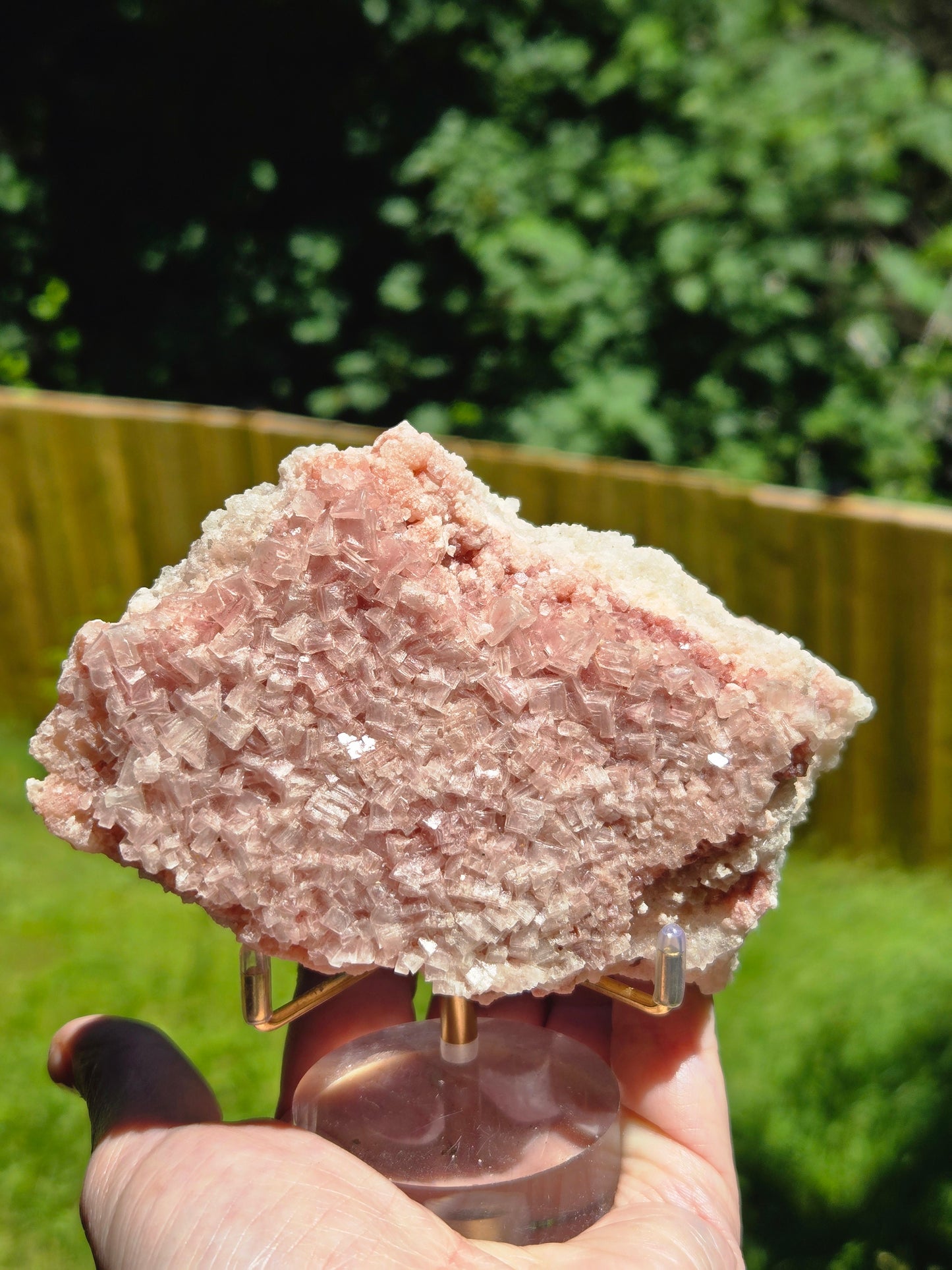 Pink Halite