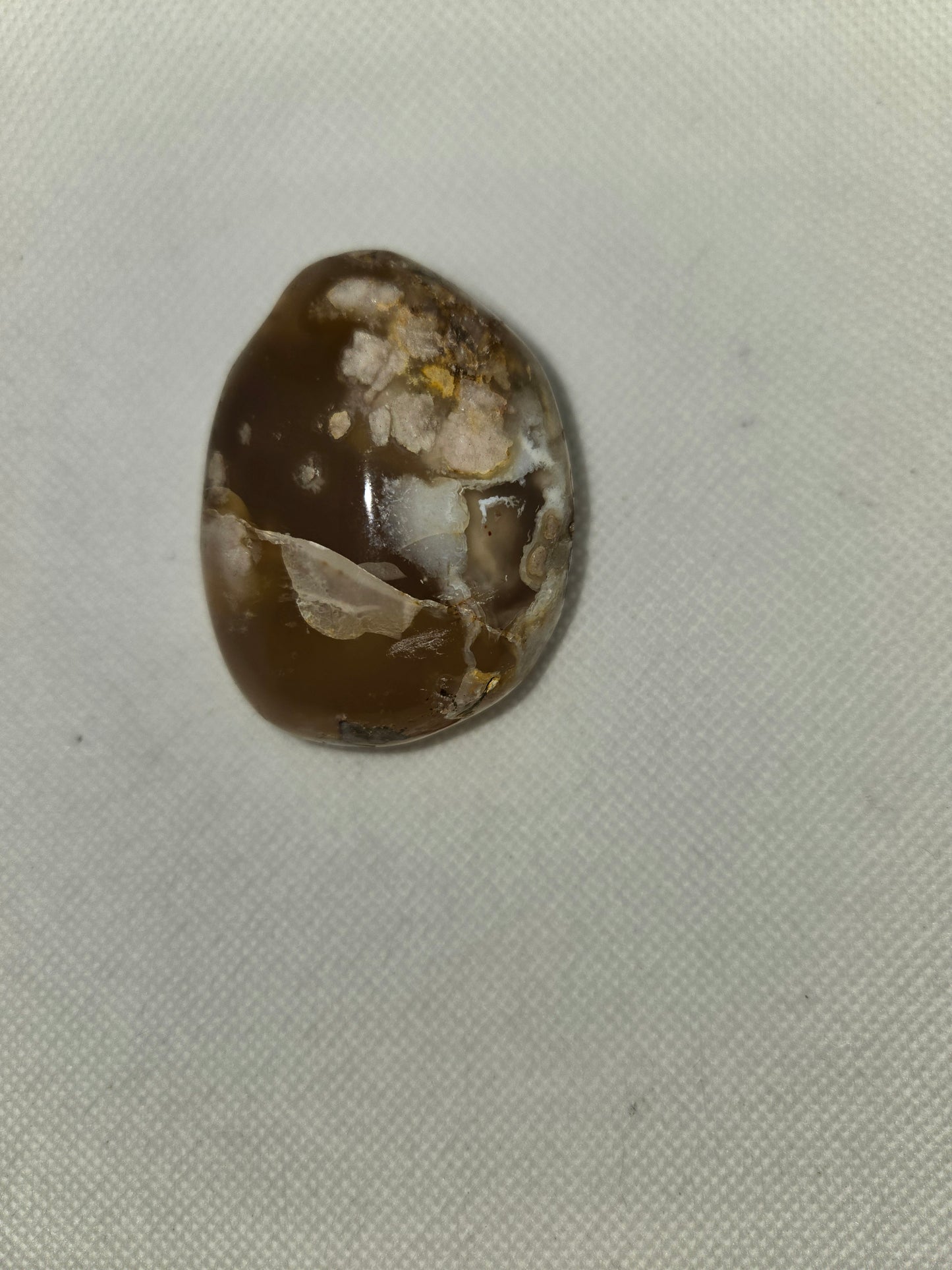 Pick Your Palm from the Garden