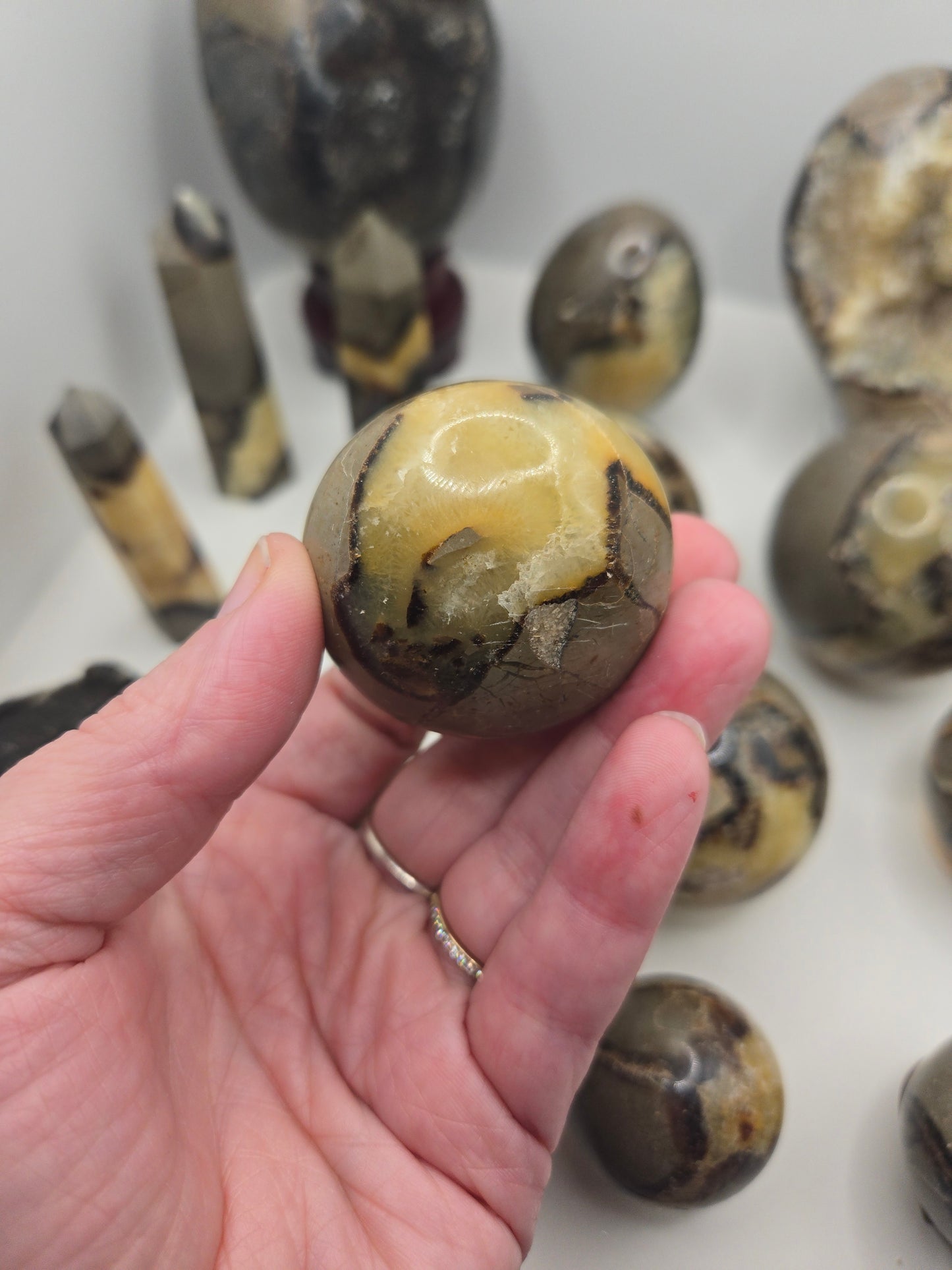 Septarian Collection