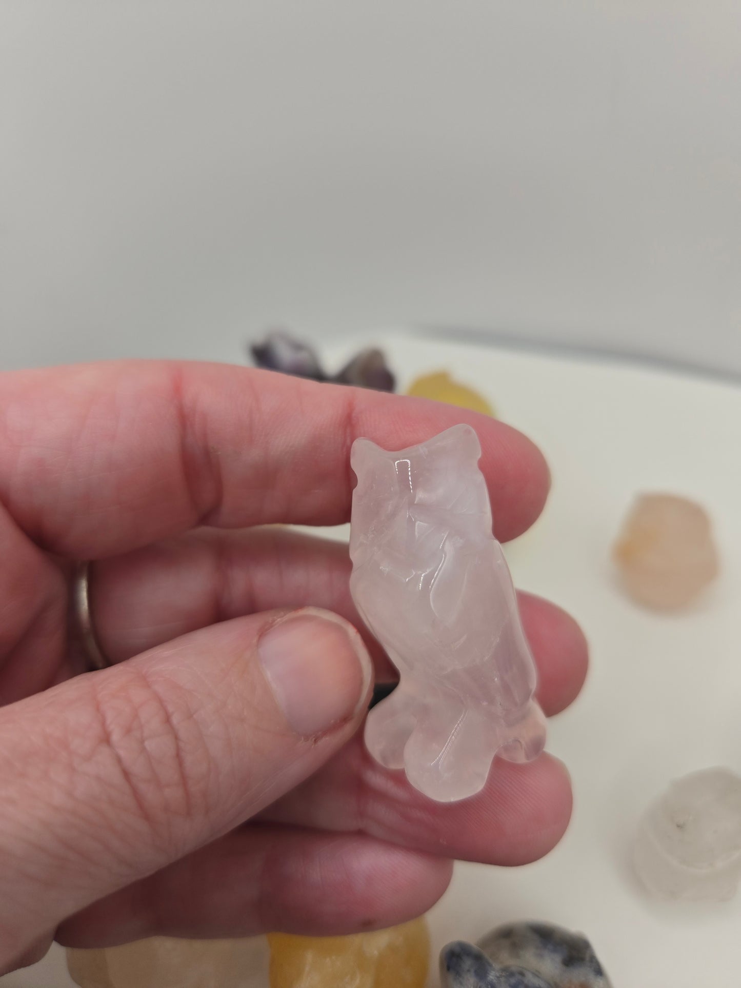 Small Creature Carvings