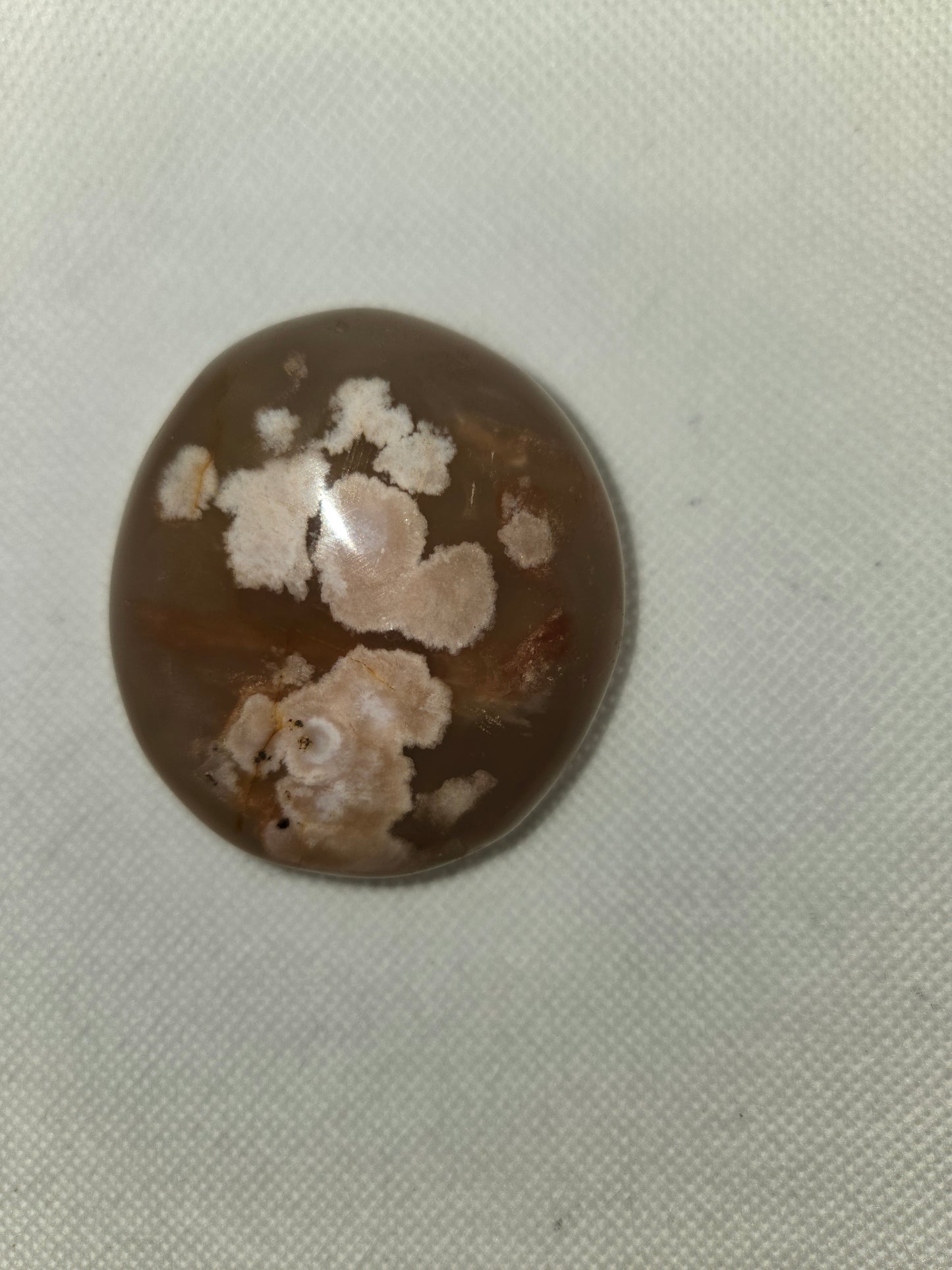 Pick Your Palm from the Garden