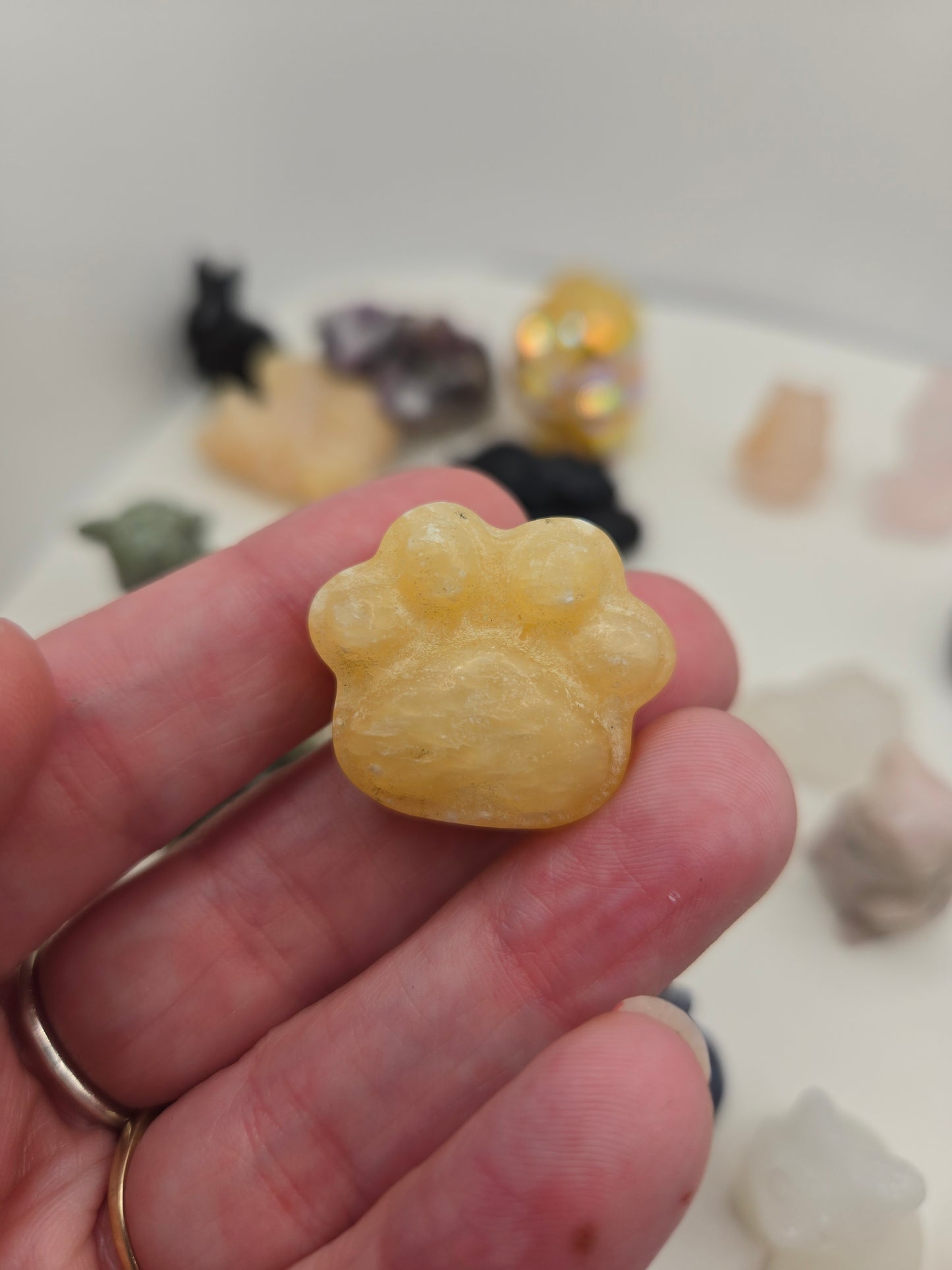 Small Creature Carvings