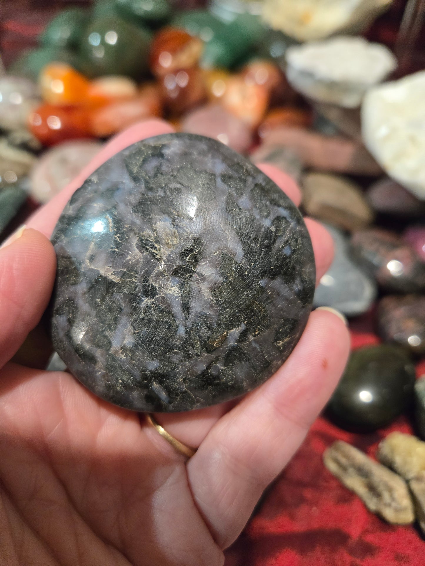 Indigo Gabbro