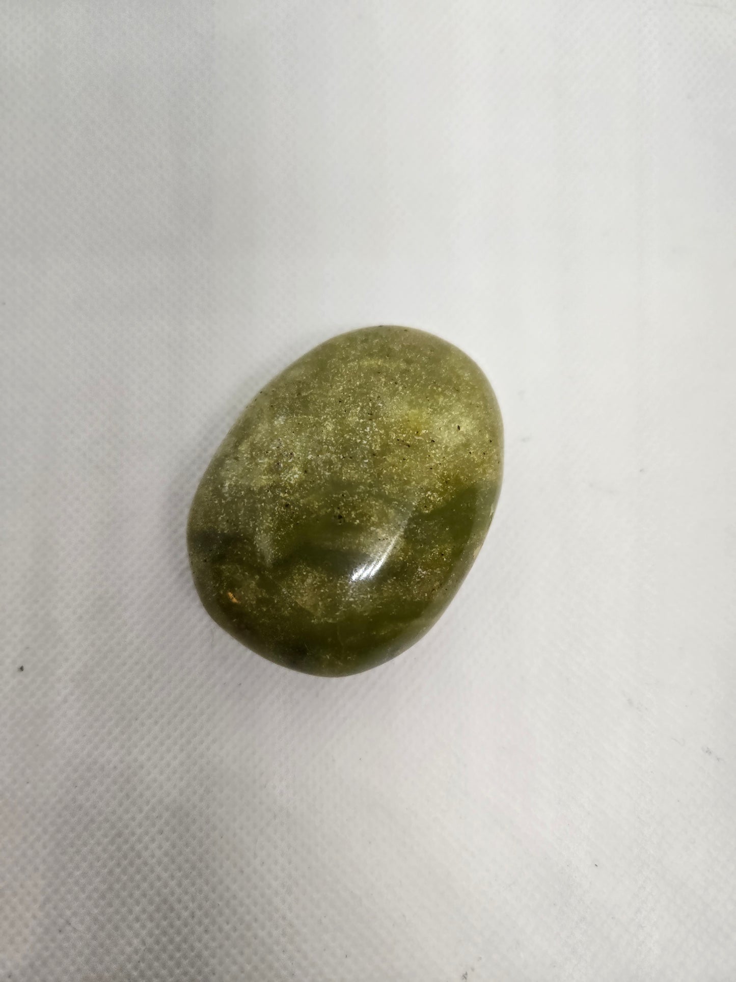 Pick Your Palm from the Garden