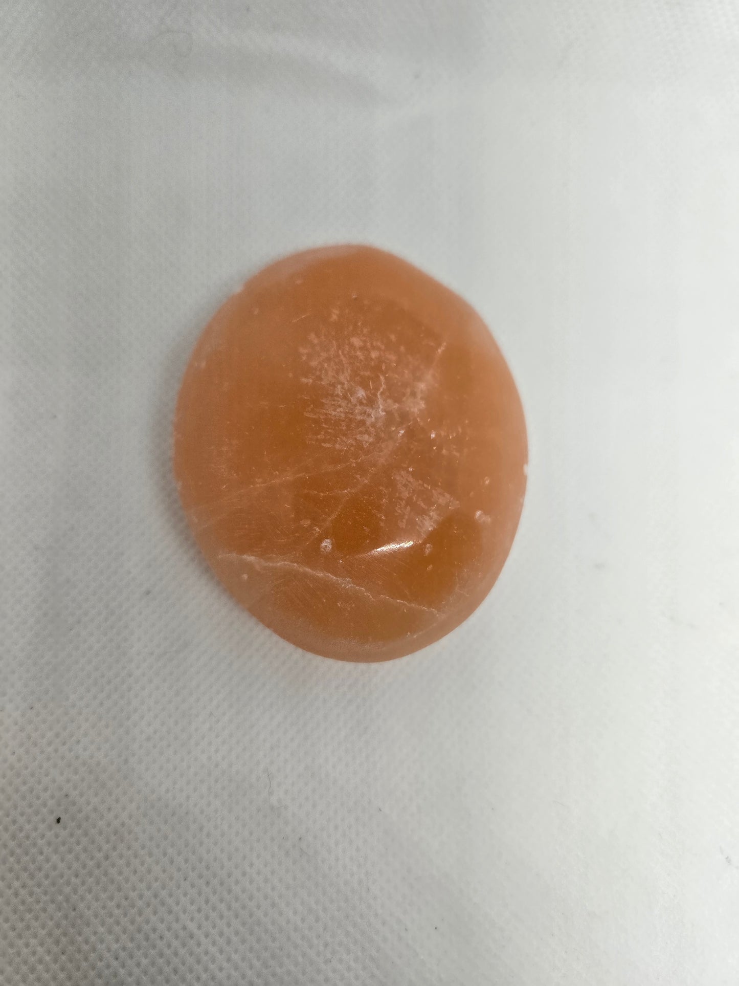 Pick Your Palm from the Garden