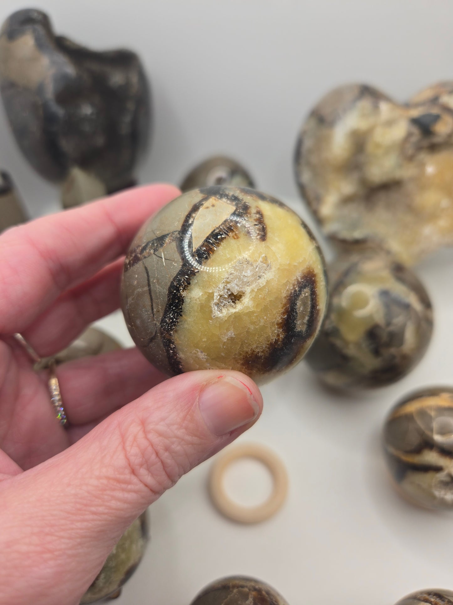 Septarian Collection