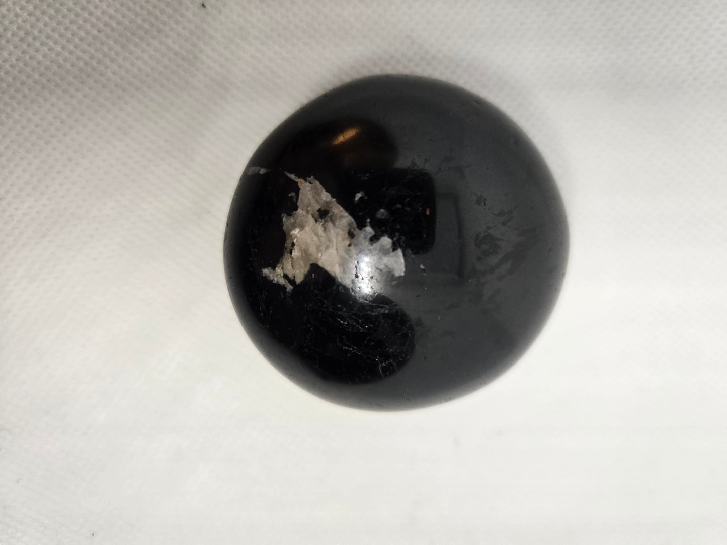 Pick Your Palm from the Garden