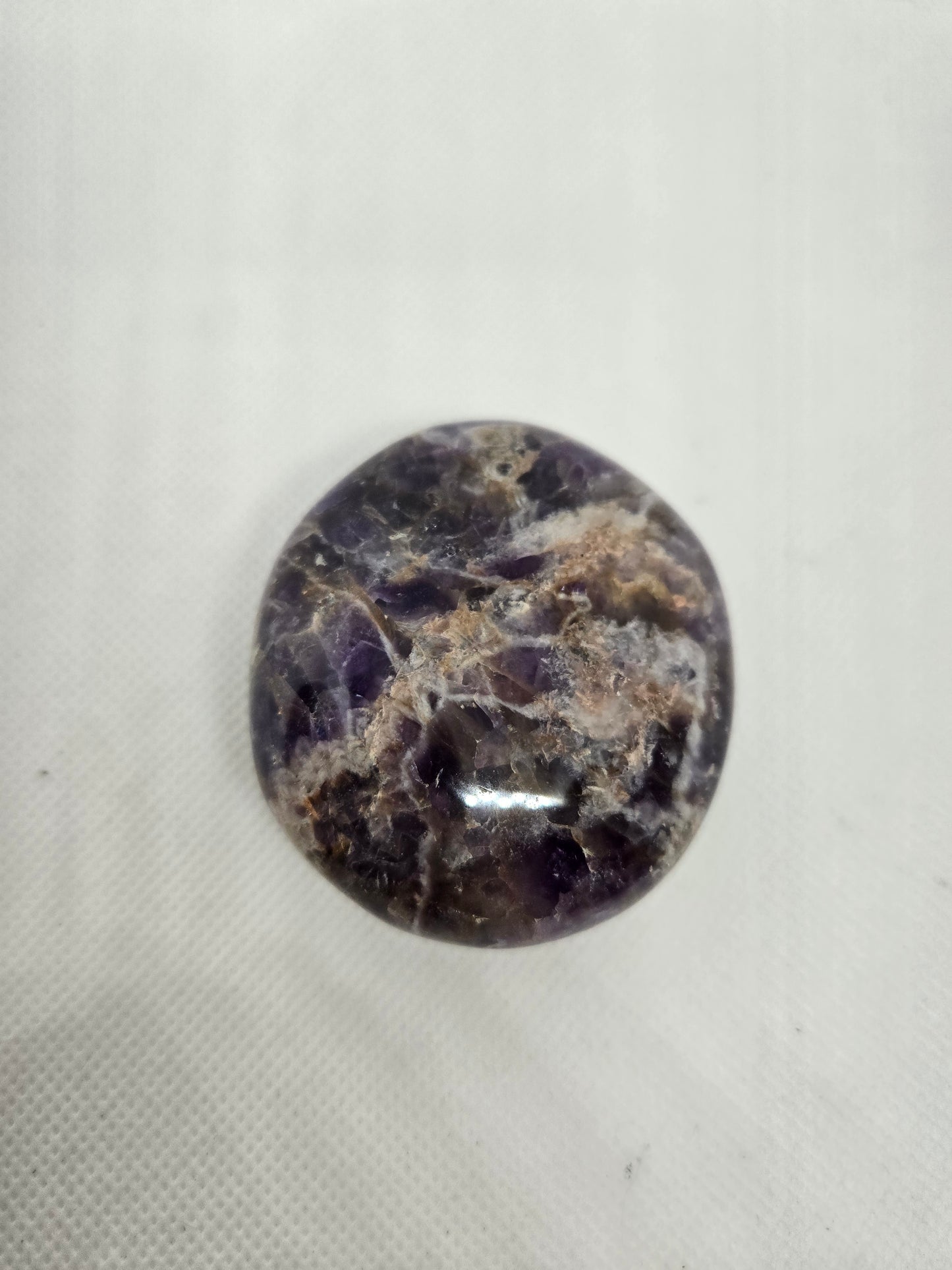 Pick Your Palm from the Garden