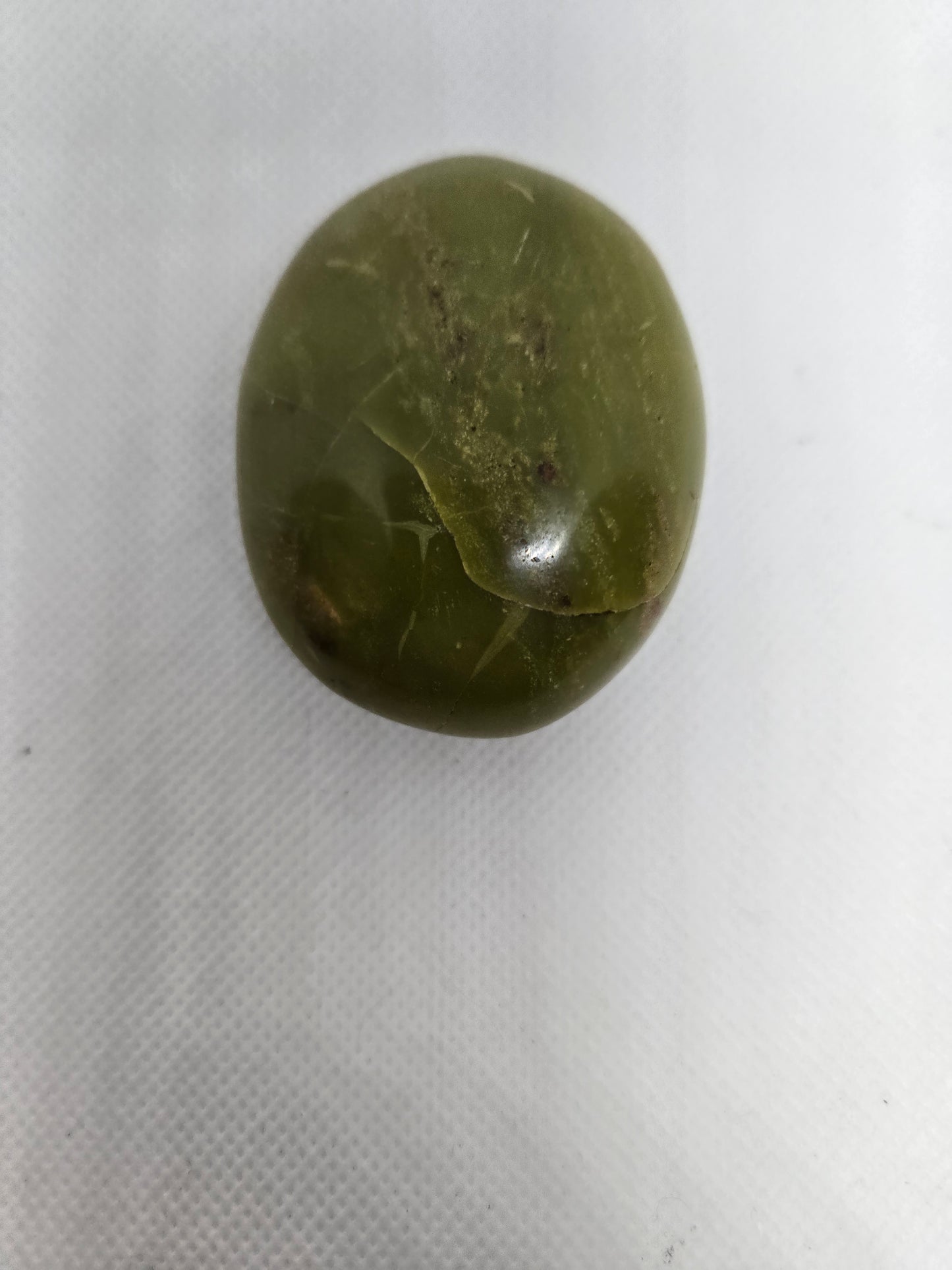 Pick Your Palm from the Garden