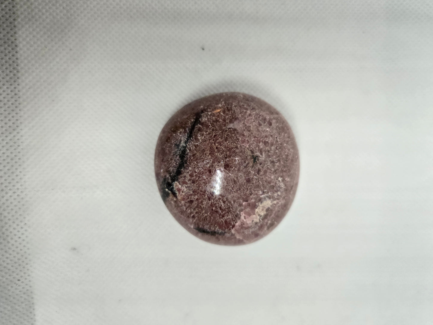 Pick Your Palm from the Garden