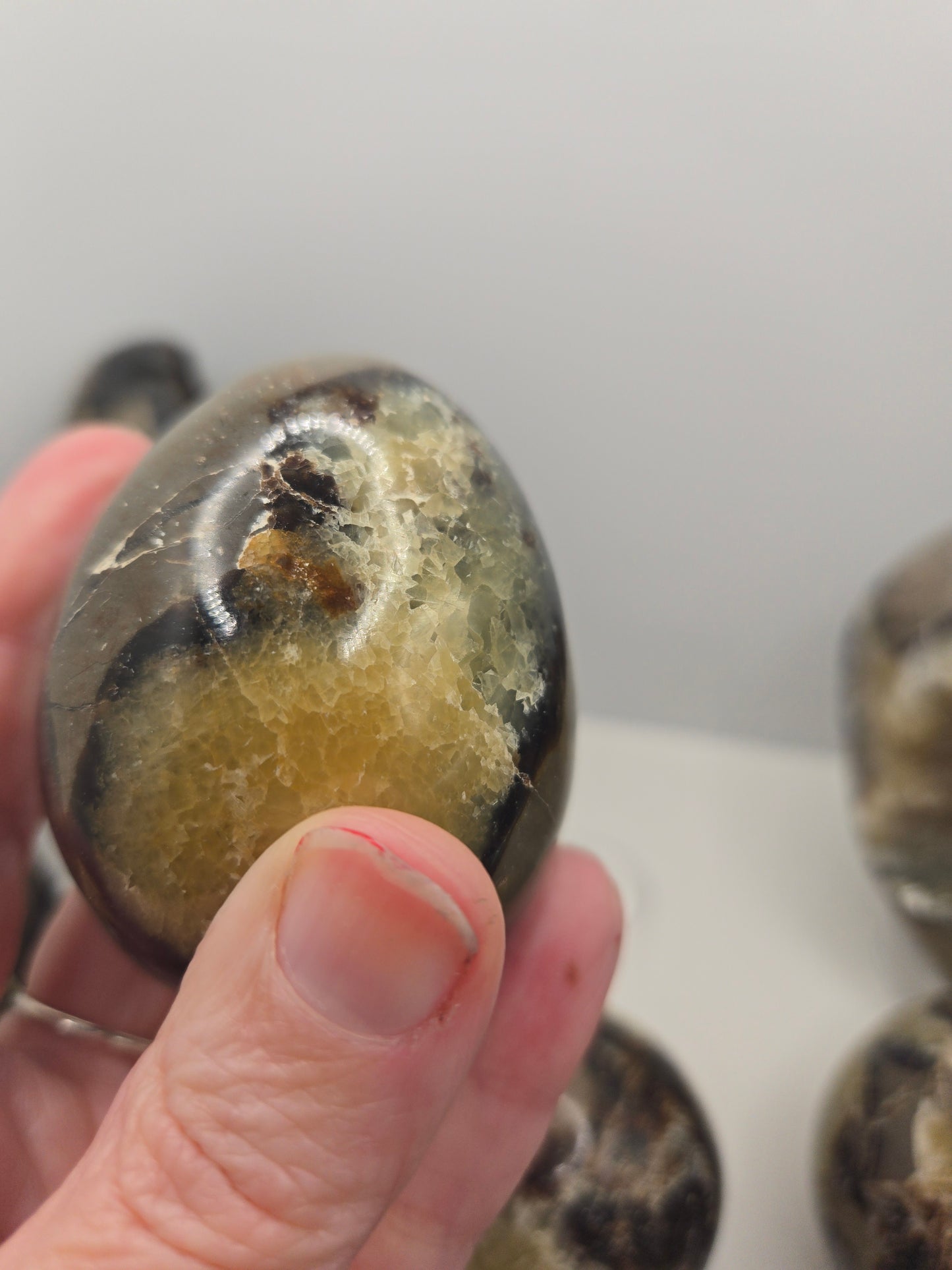 Septarian Collection