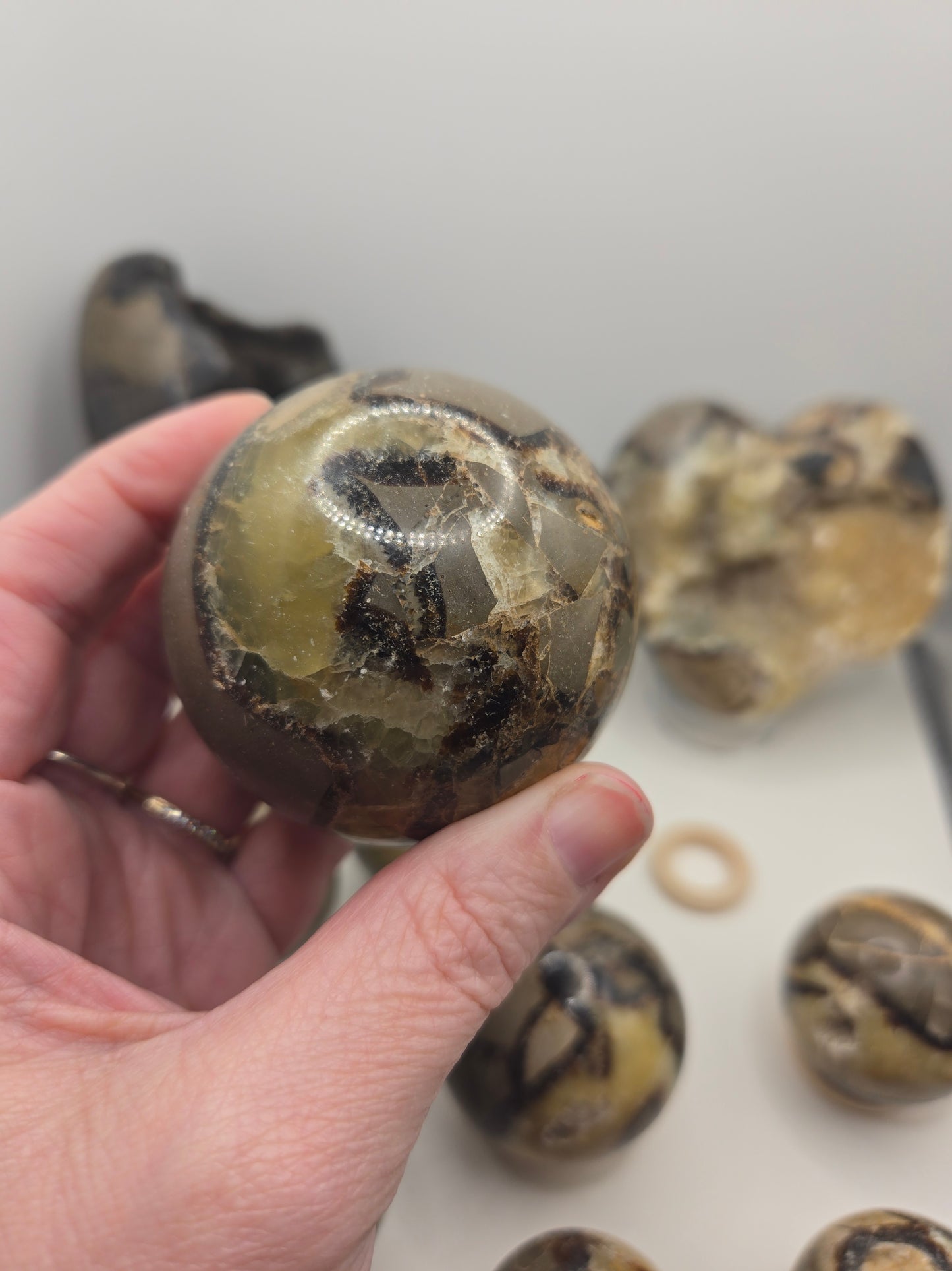 Septarian Collection