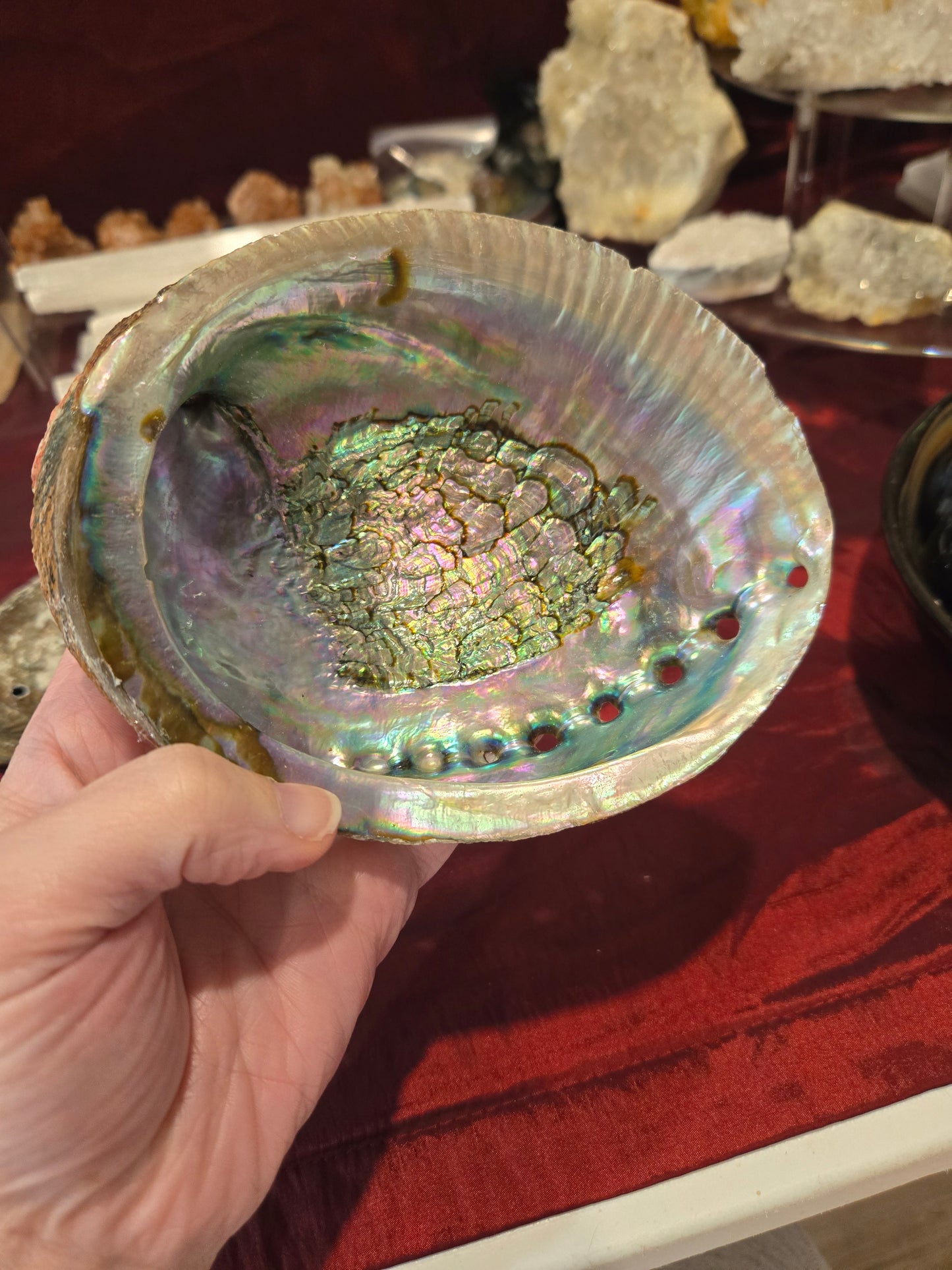 Abalone Shell Bowls