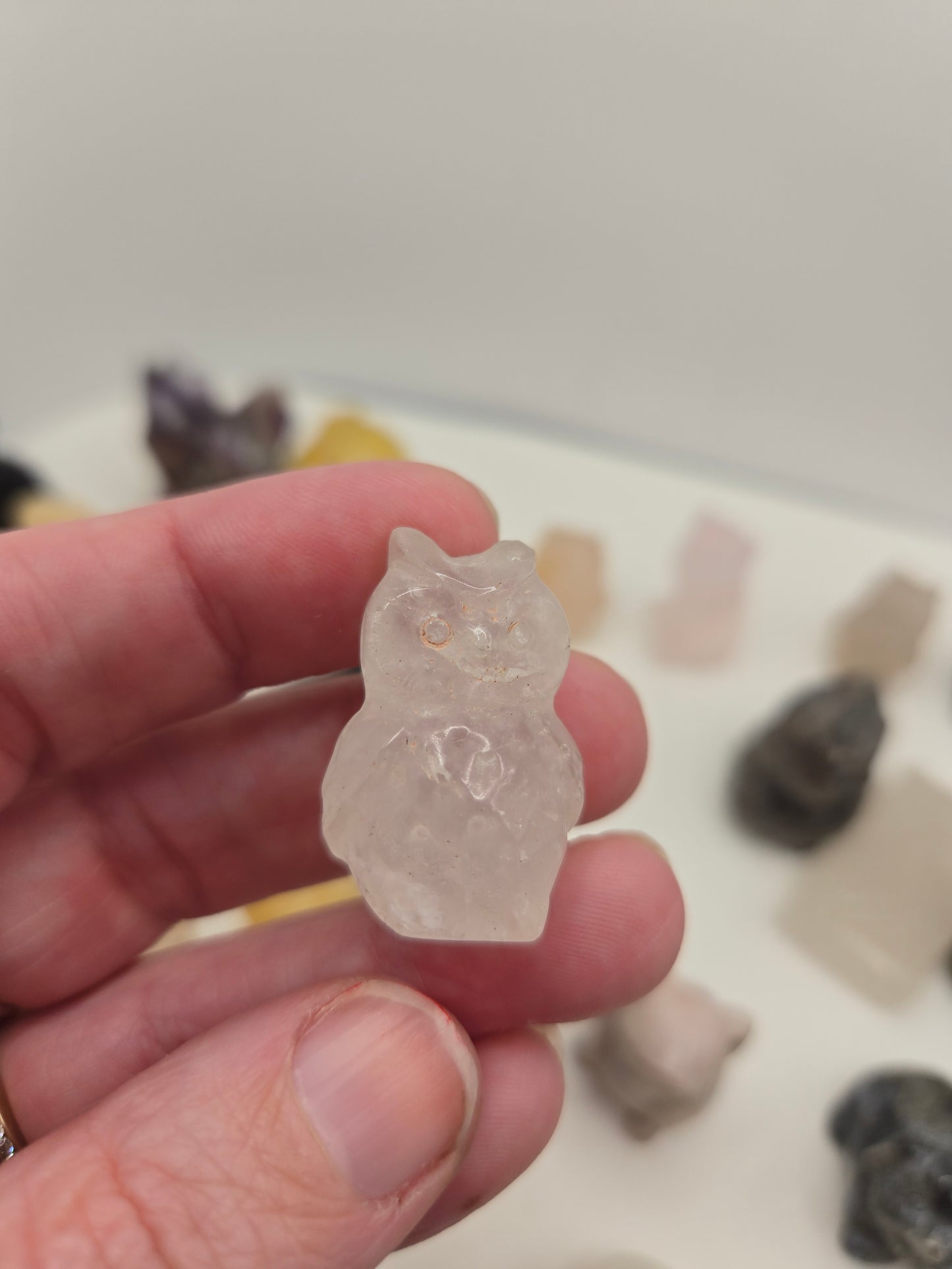 Small Creature Carvings