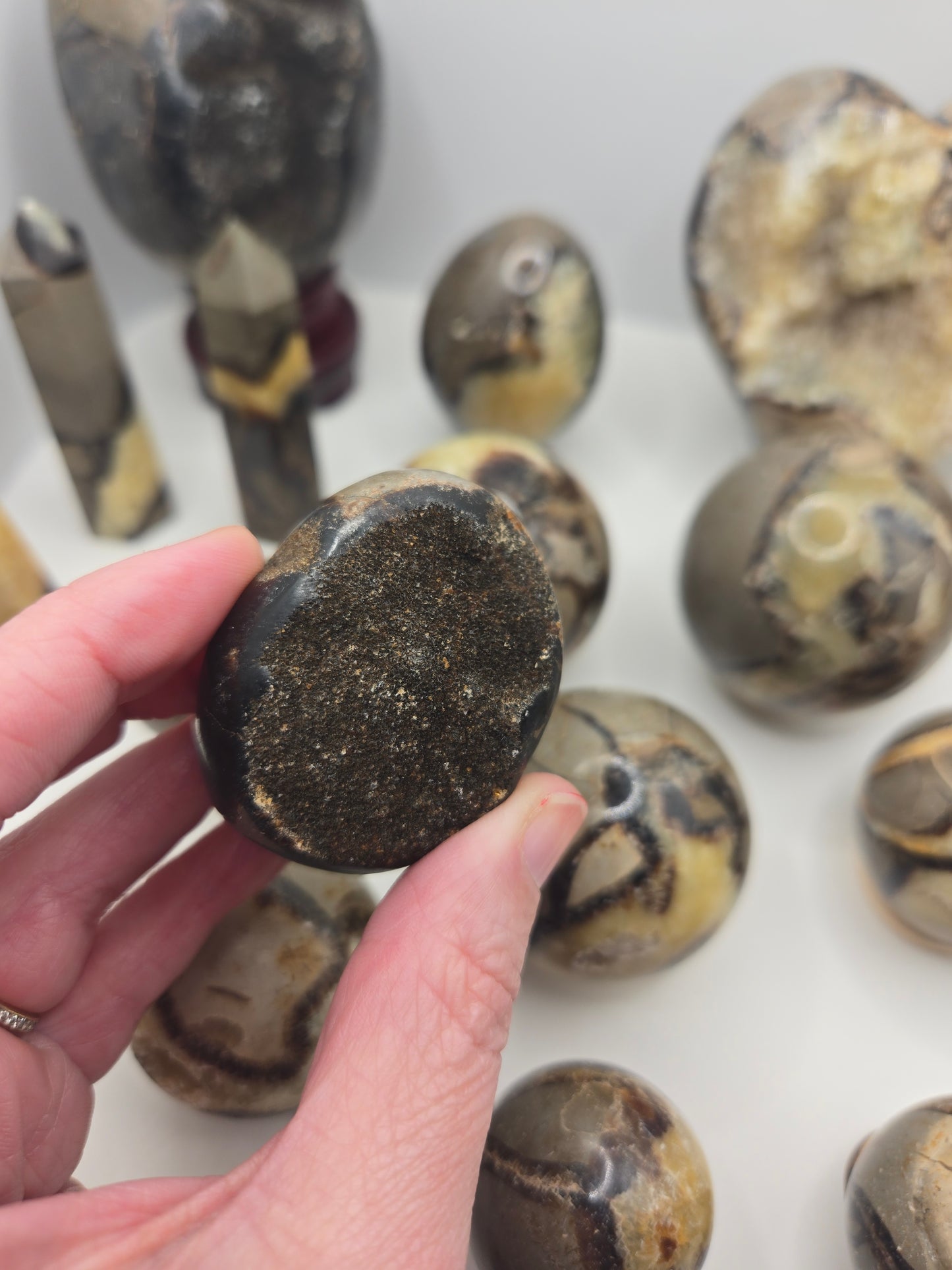 Septarian Collection