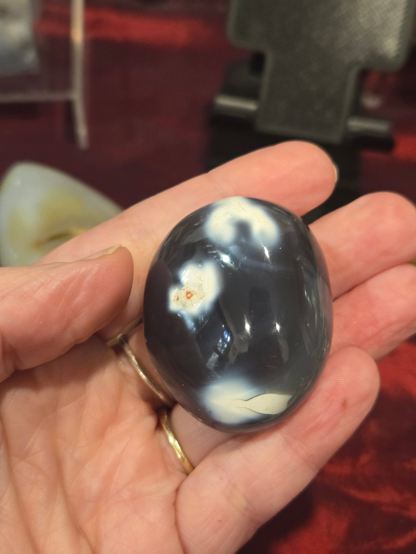 Orca Agate Pieces