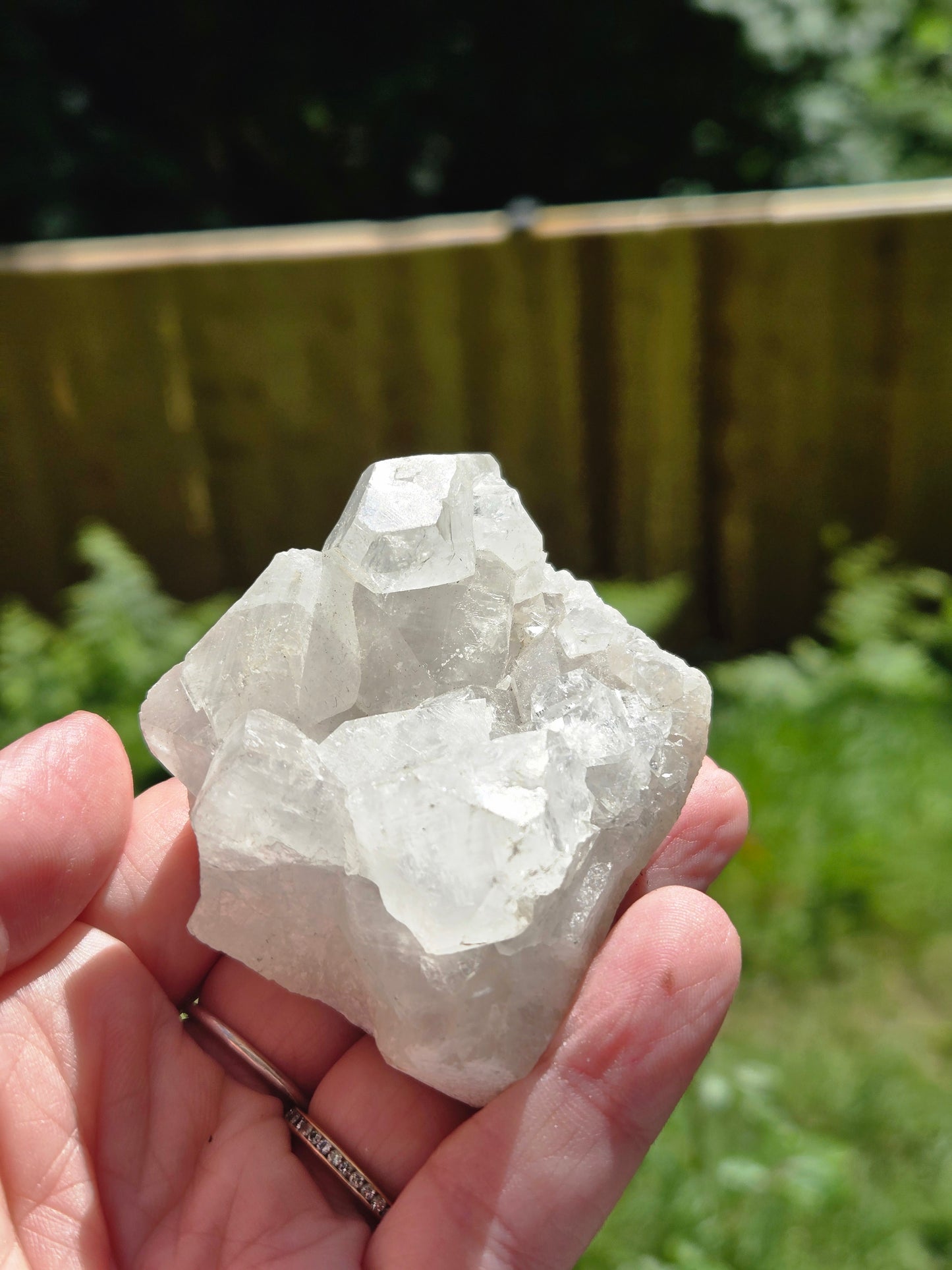 Apophyllite Small