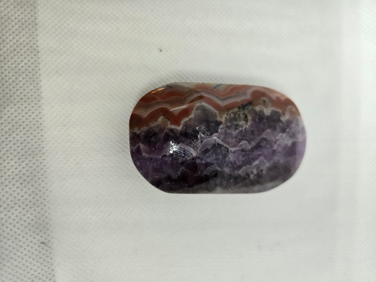 Pick Your Palm from the Garden