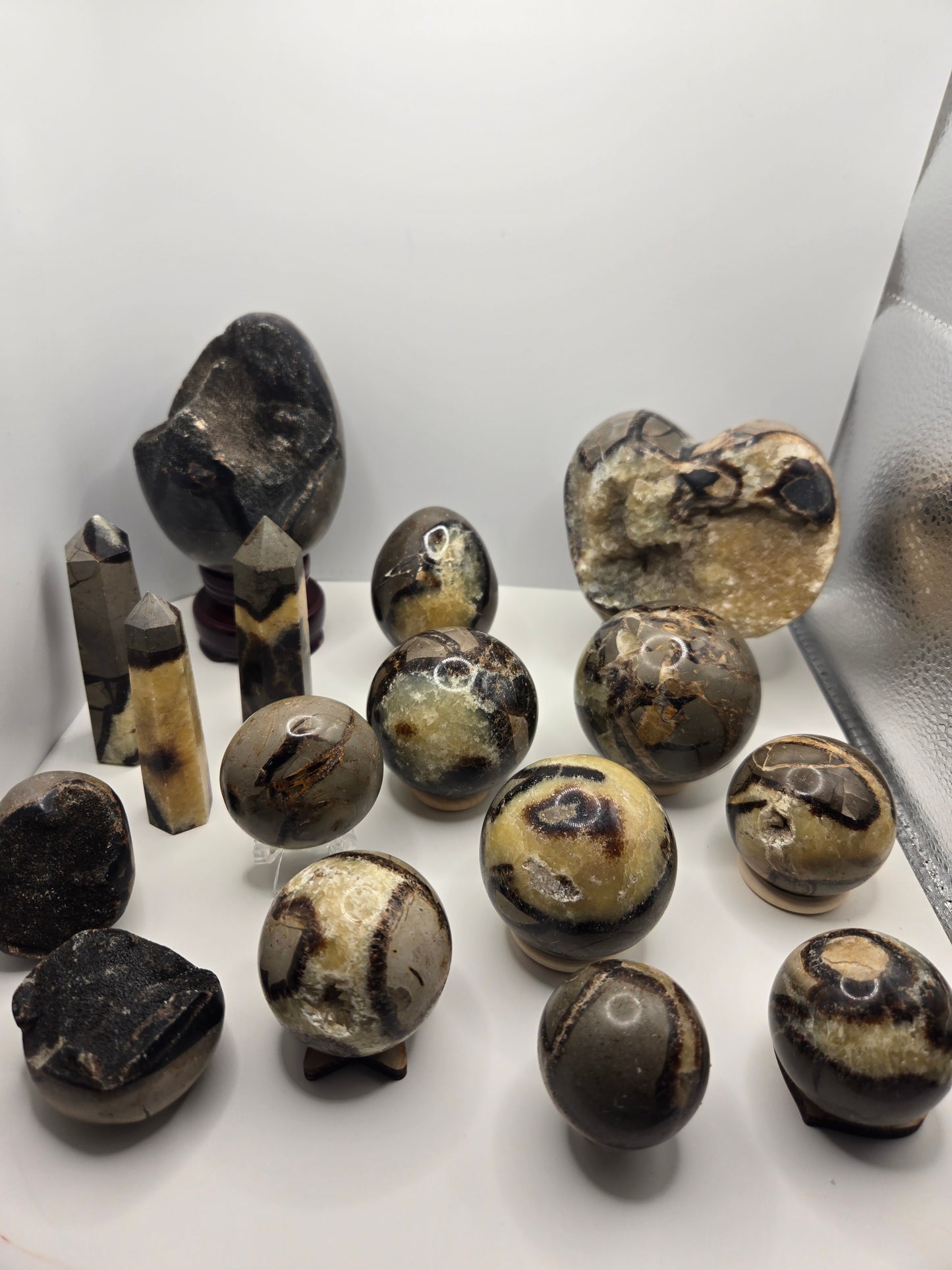 Septarian Collection